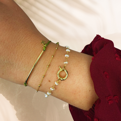 Pulsera Alp