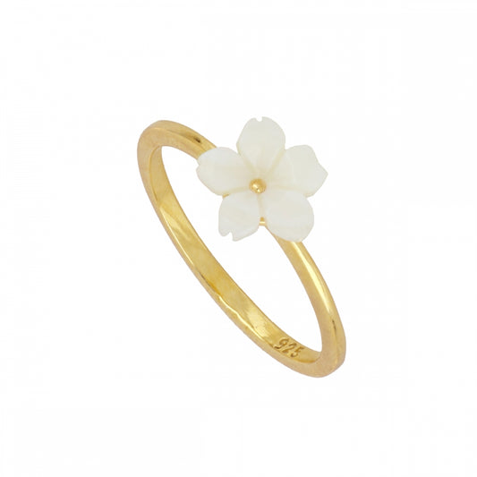 Garxal Ring