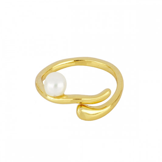 Encanyissada Ring